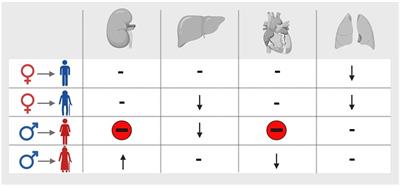 The combinatorial effect of age and biological sex on alloimmunity and transplantation outcome